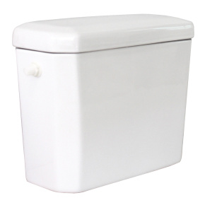 Dual Flush Siphonic WC Toilet 05A