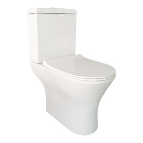 Minimalist Heavy-Duty Porcelain WC 684