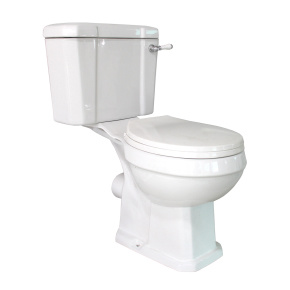Dual Flush Siphonic Jet Toilet A3E