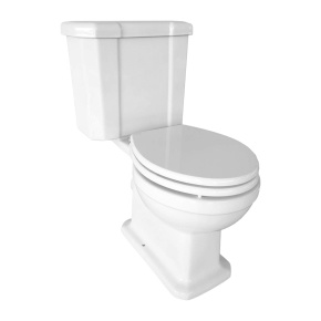 Premium Water-Saving Toilet ABF